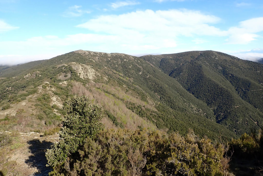 Abajo izquierda el Coll del Pou d'en Besa, arriba El Suï y a la derecha el Puig Drau